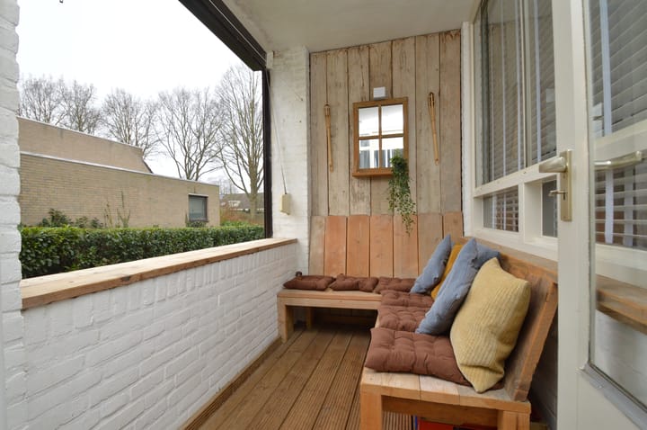 Photo 13 of Gender 13