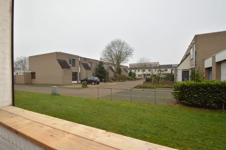 Photo 14 of Gender 13