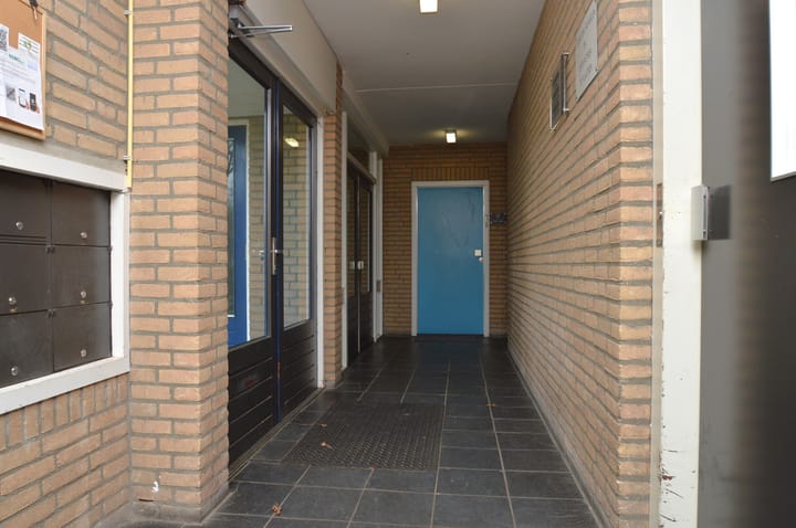 Photo 17 of Gender 13