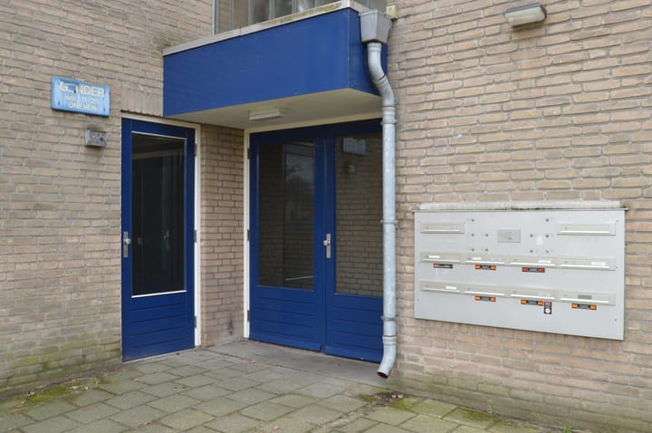 Photo 18 of Gender 13