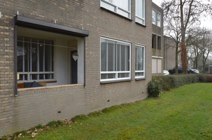 Photo 20 of Gender 13