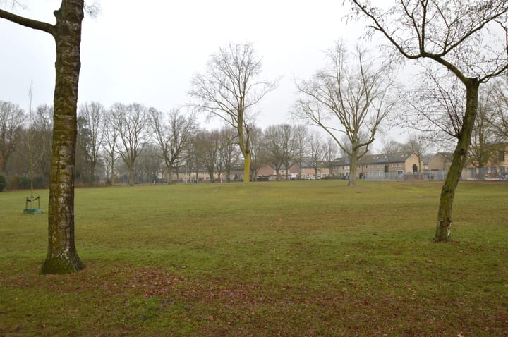 Photo 21 of Gender 13