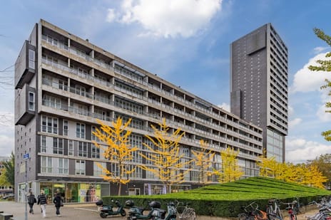 Professor de Moorplein thumbnail