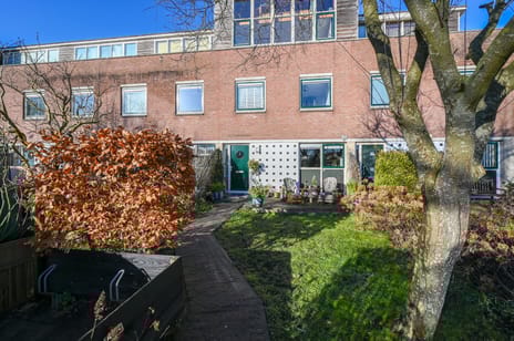 undefined main image