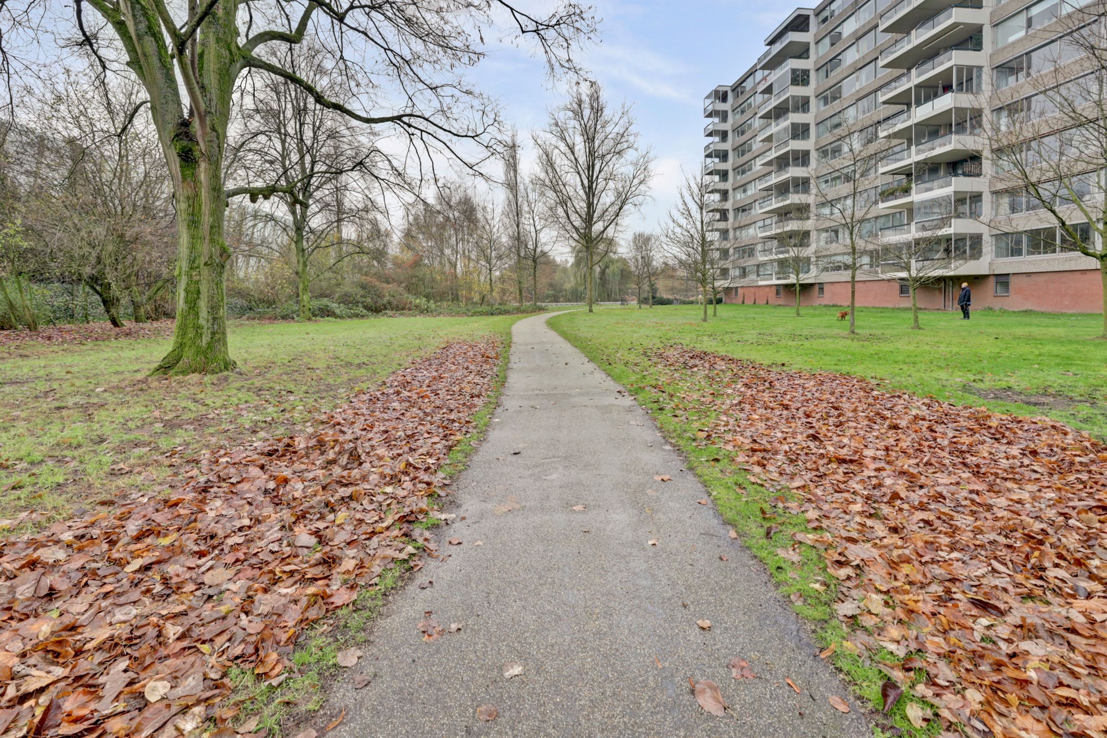 Foto 33 van Verdiweg 265