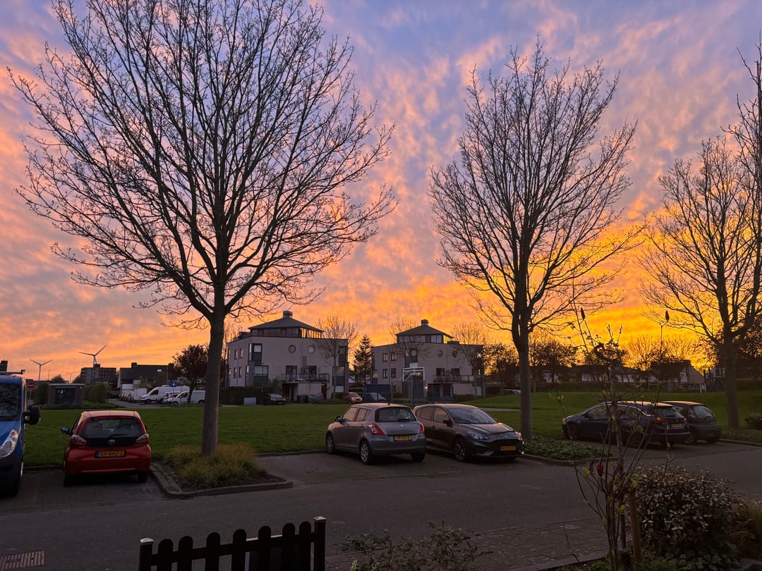 Foto 28 van Zeeschildpad 26