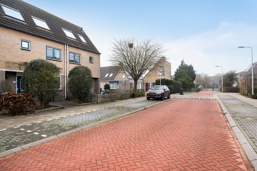 Photo 31 of Sterremos 33