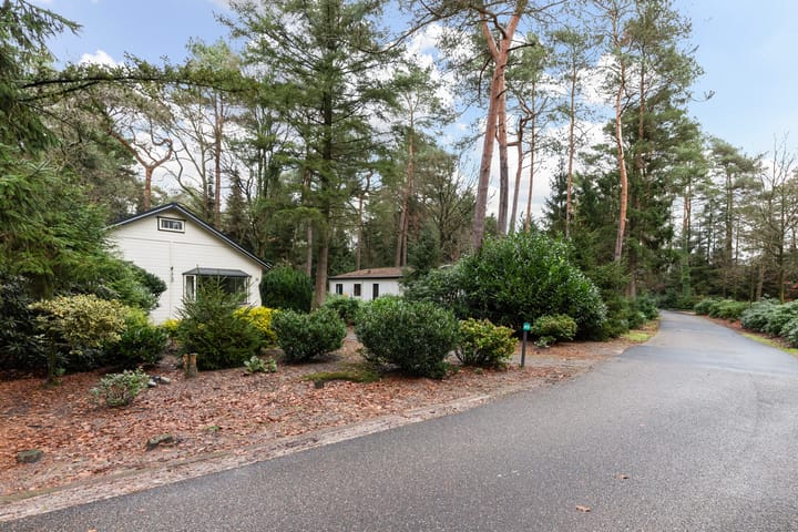 Photo 19 of Reeënbergweg 18-85