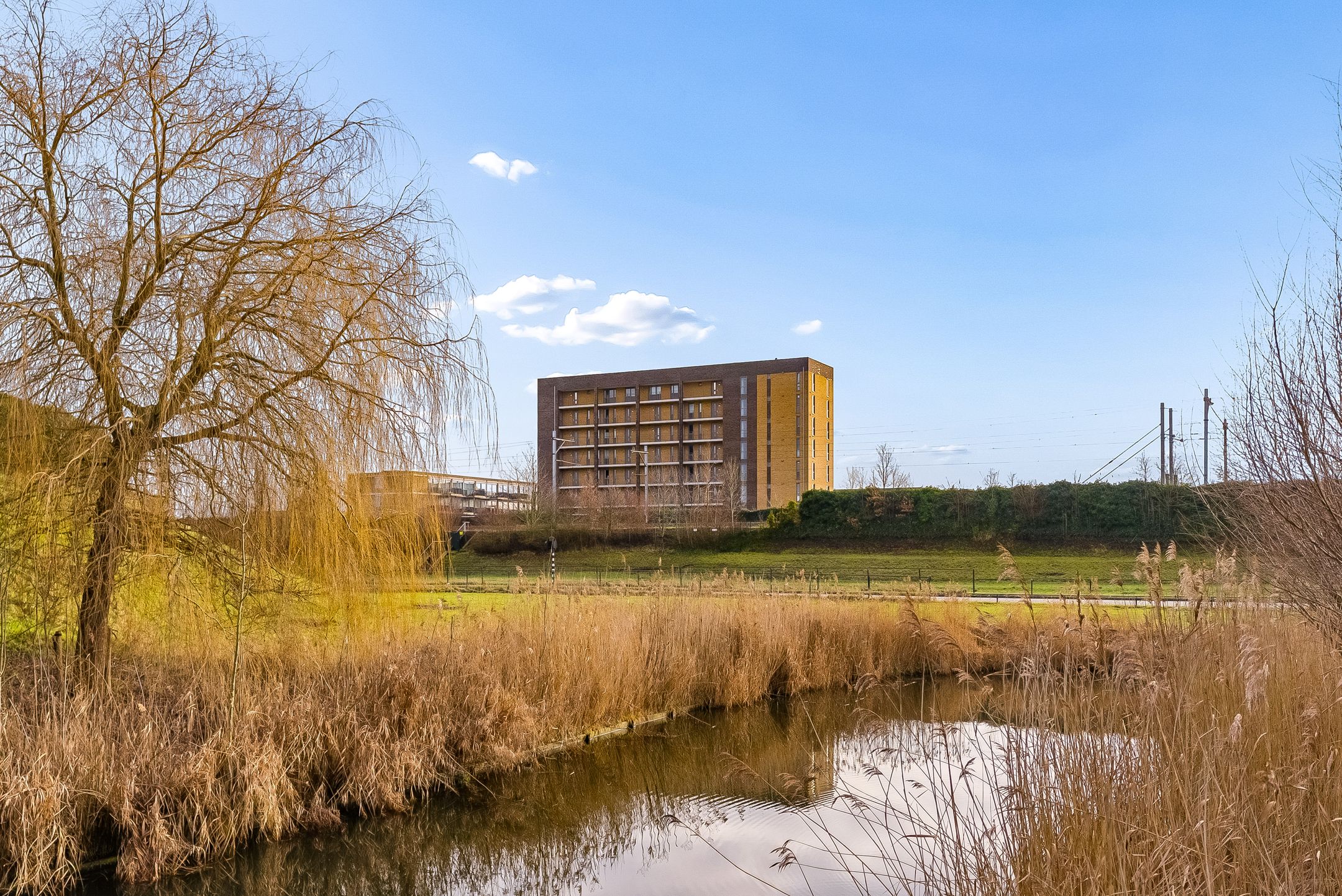 Foto 33 van Tempo Doeloestraat 178