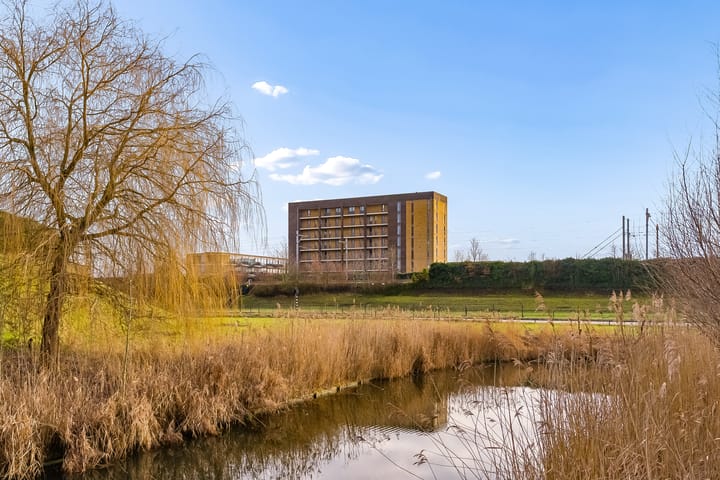 Foto 33 van Tempo Doeloestraat 178