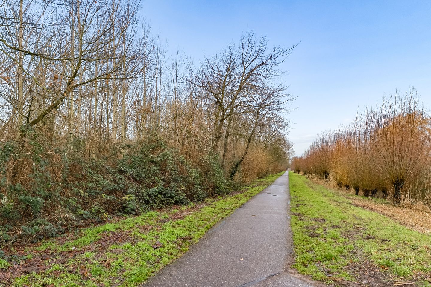 Foto 35 van Tempo Doeloestraat 178