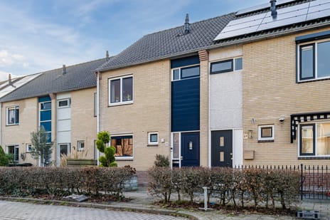 Buffelstraat thumbnail