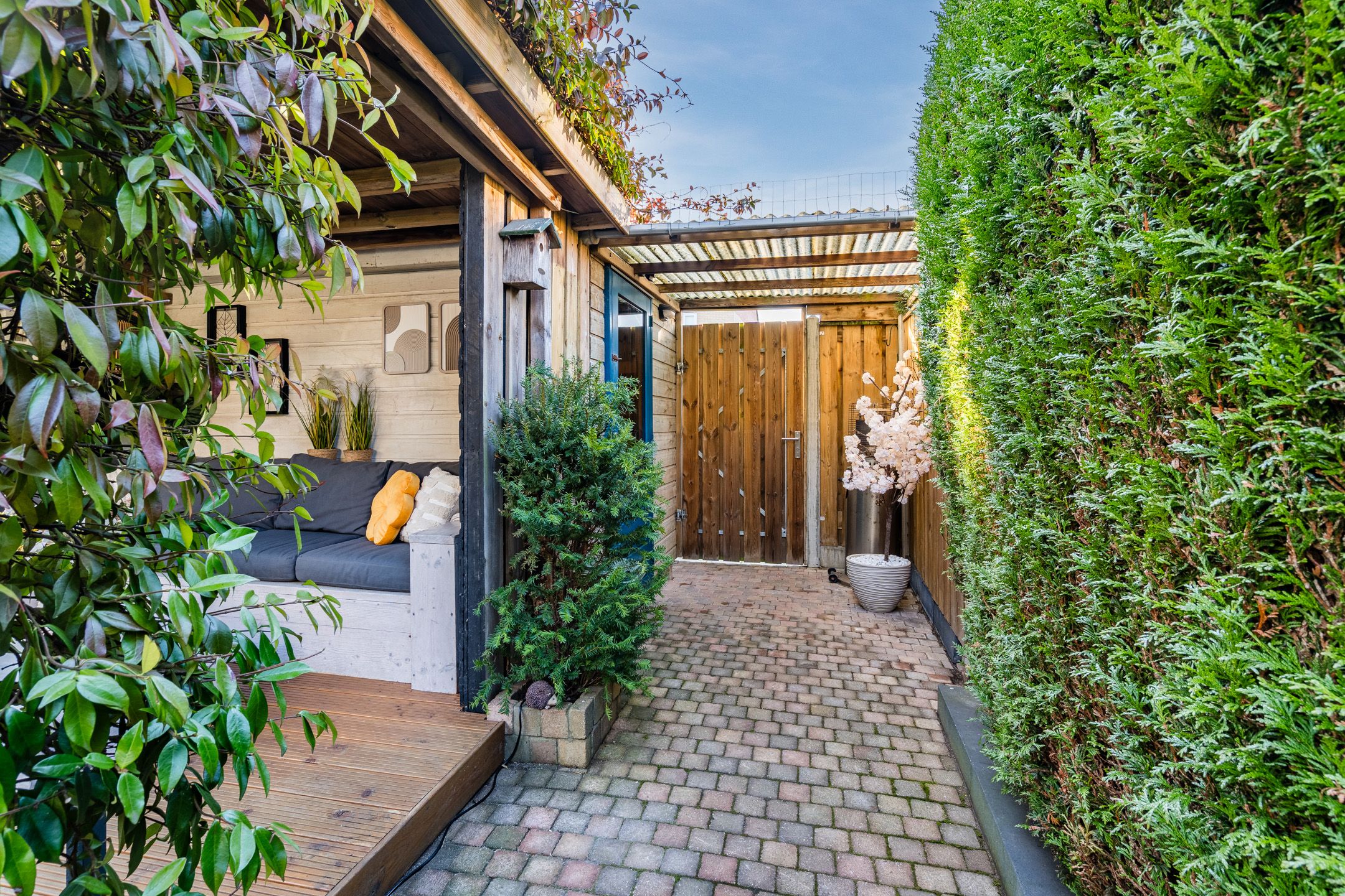 Foto 36 van Buffelstraat 25