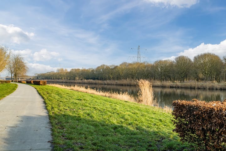 Foto 41 van Buffelstraat 25