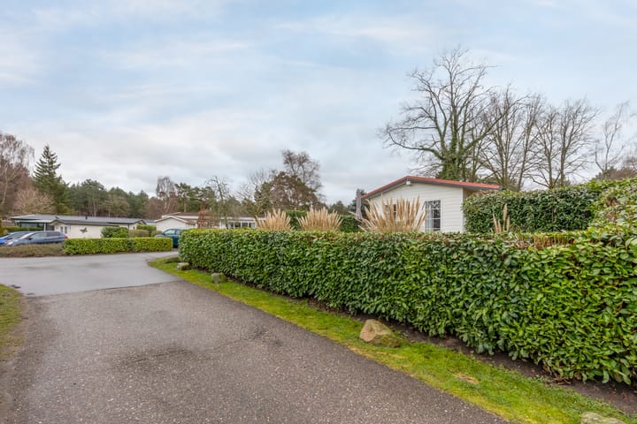 Photo 5 of Akerstraat 153-X101