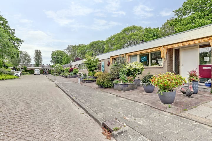 Foto 3 van Poelwaai 23