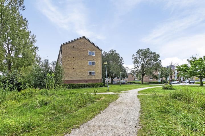 Photo 8 of Dierenriemstraat 57