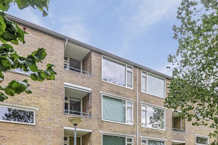 Photo 10 of Dierenriemstraat 57