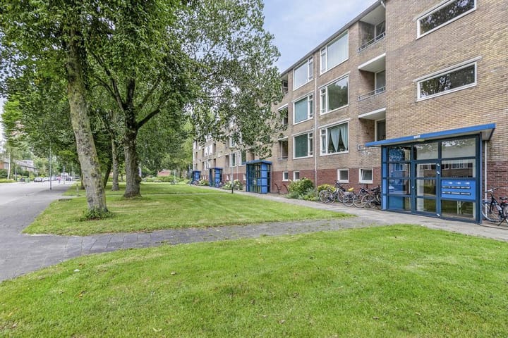 Photo 11 of Dierenriemstraat 57