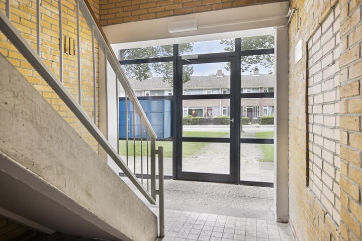 Photo 13 of Dierenriemstraat 57