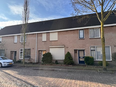 undefined main image