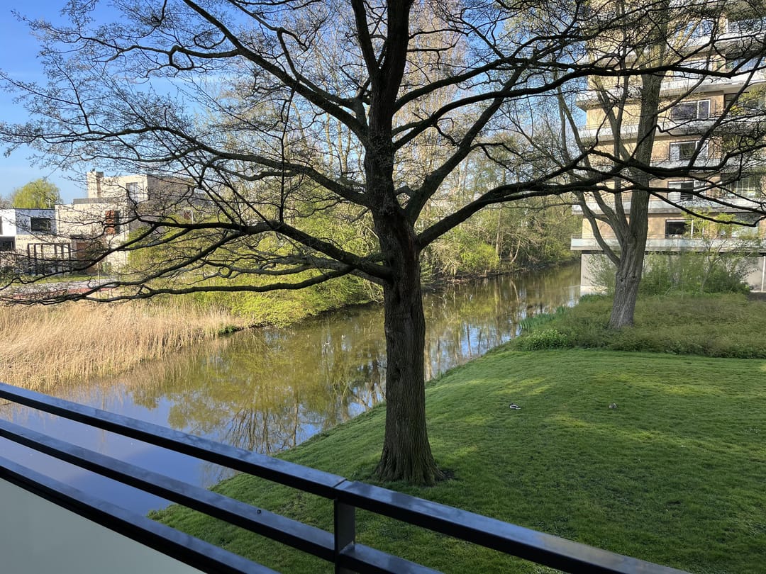 Photo 11 of Rio Grande 28