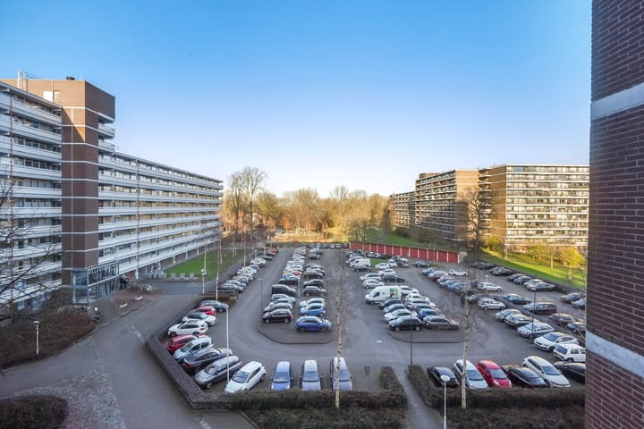 Foto 44 van Belvédèrebos 46