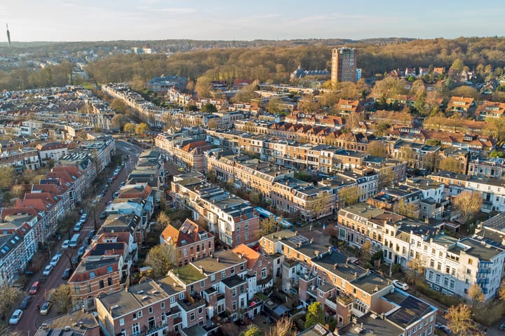 Foto 50 van Annastraat 26