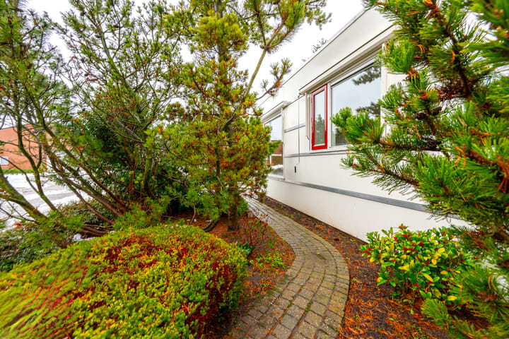 Photo 38 of Elskamp 20