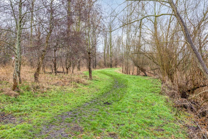 Foto 32 van Ikihof 1