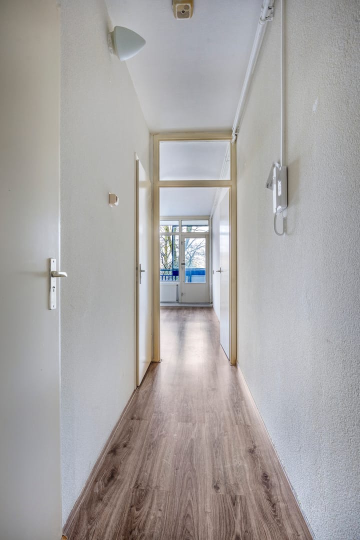 Foto 4 van Kikkenstein 3041