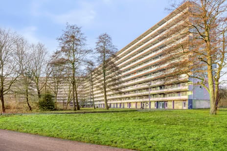 Kikkenstein thumbnail