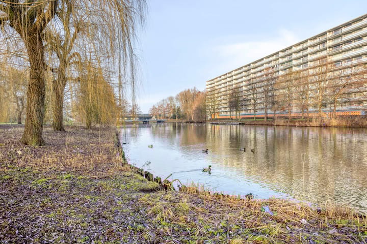 Foto 17 van Kikkenstein 3041