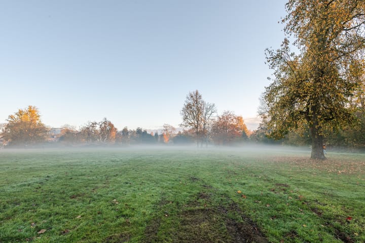 Foto 48 van Gestelsestraat 170-B