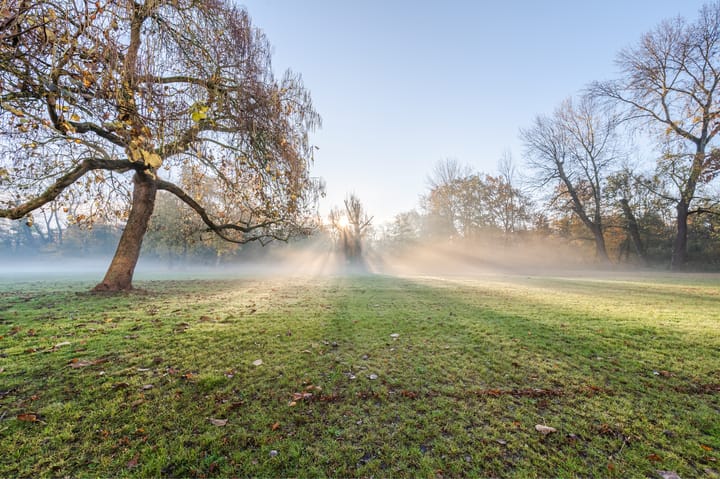 Foto 50 van Gestelsestraat 170-B