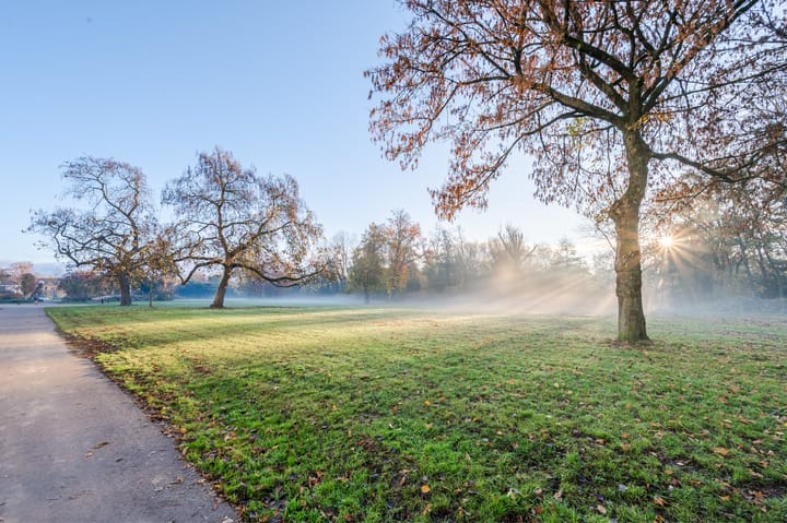 Foto 51 van Gestelsestraat 170-B