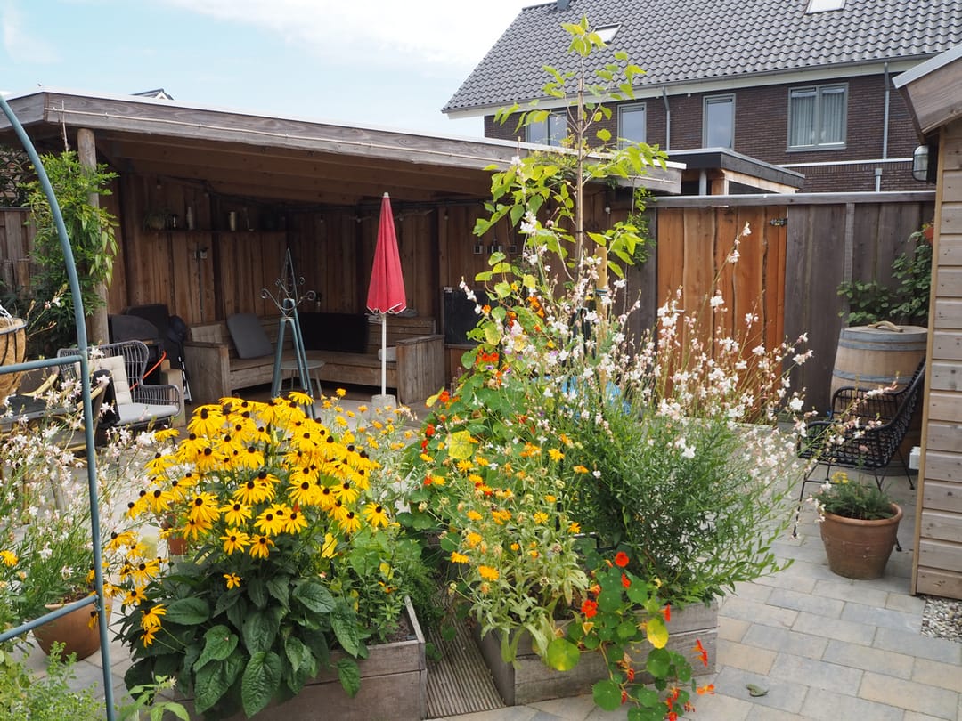 Foto 37 van Wolweversgilde 4