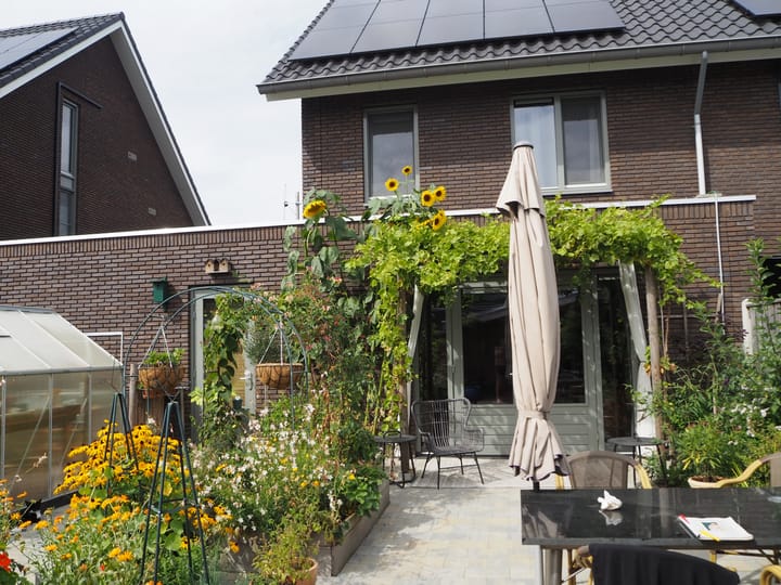 Foto 39 van Wolweversgilde 4