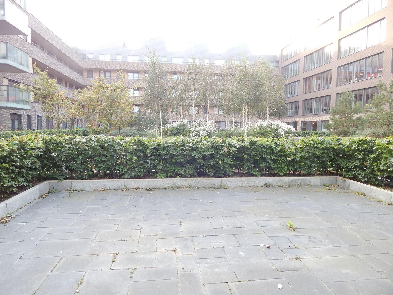 Foto 6 van Ringdijk 60