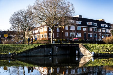 Thierenskade thumbnail