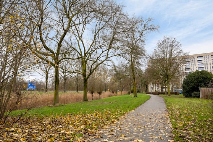 Foto 31 van Admiraliteitslaan 42