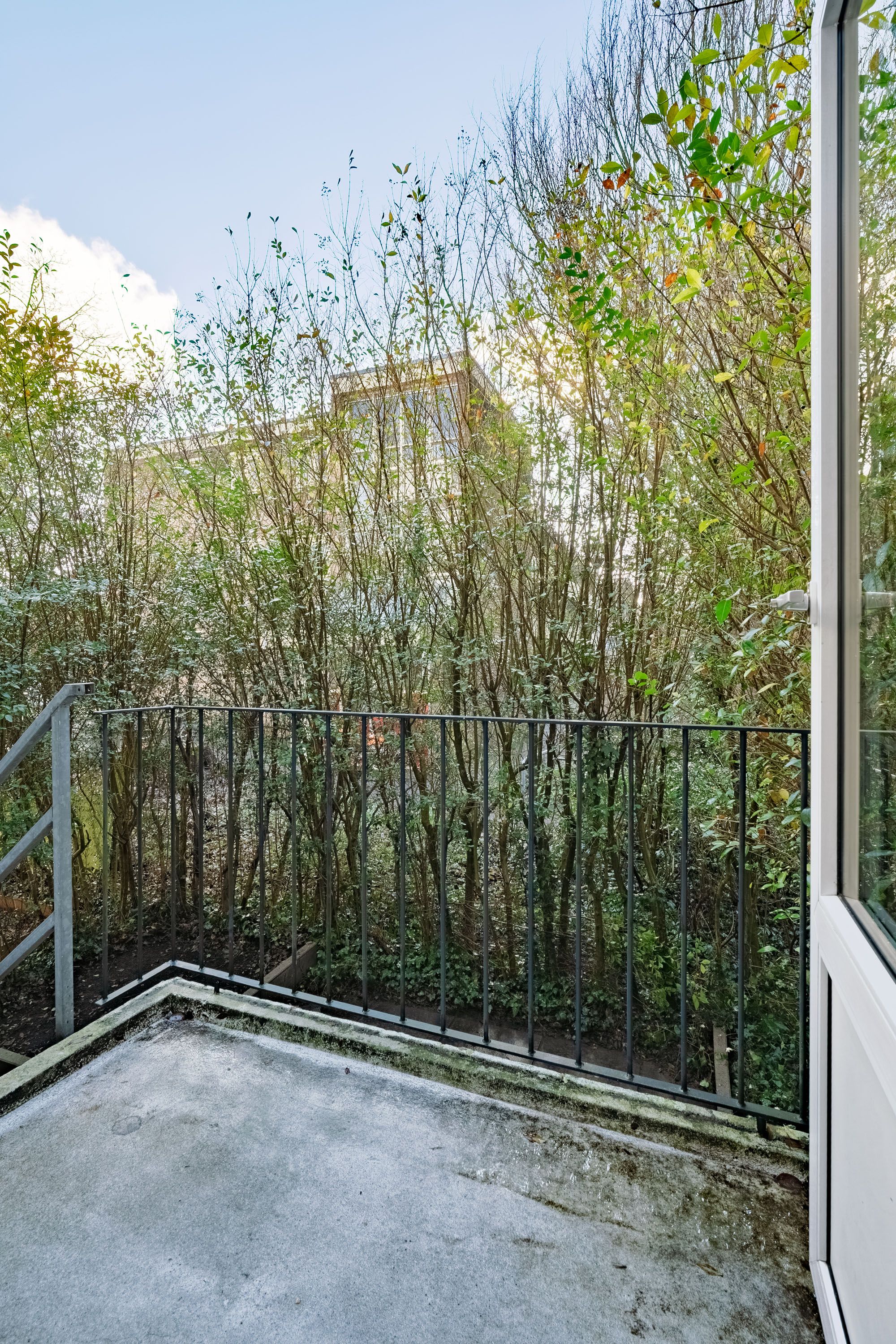 Foto 21 van Van 't Hoffstraat 51