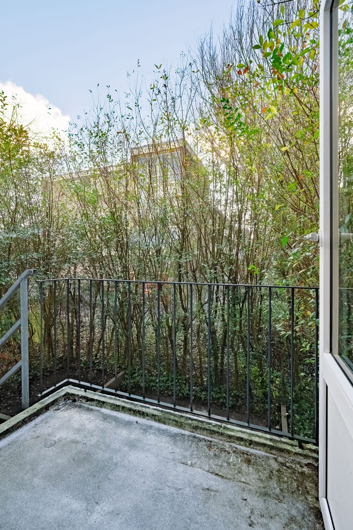 Foto 21 van Van 't Hoffstraat 51