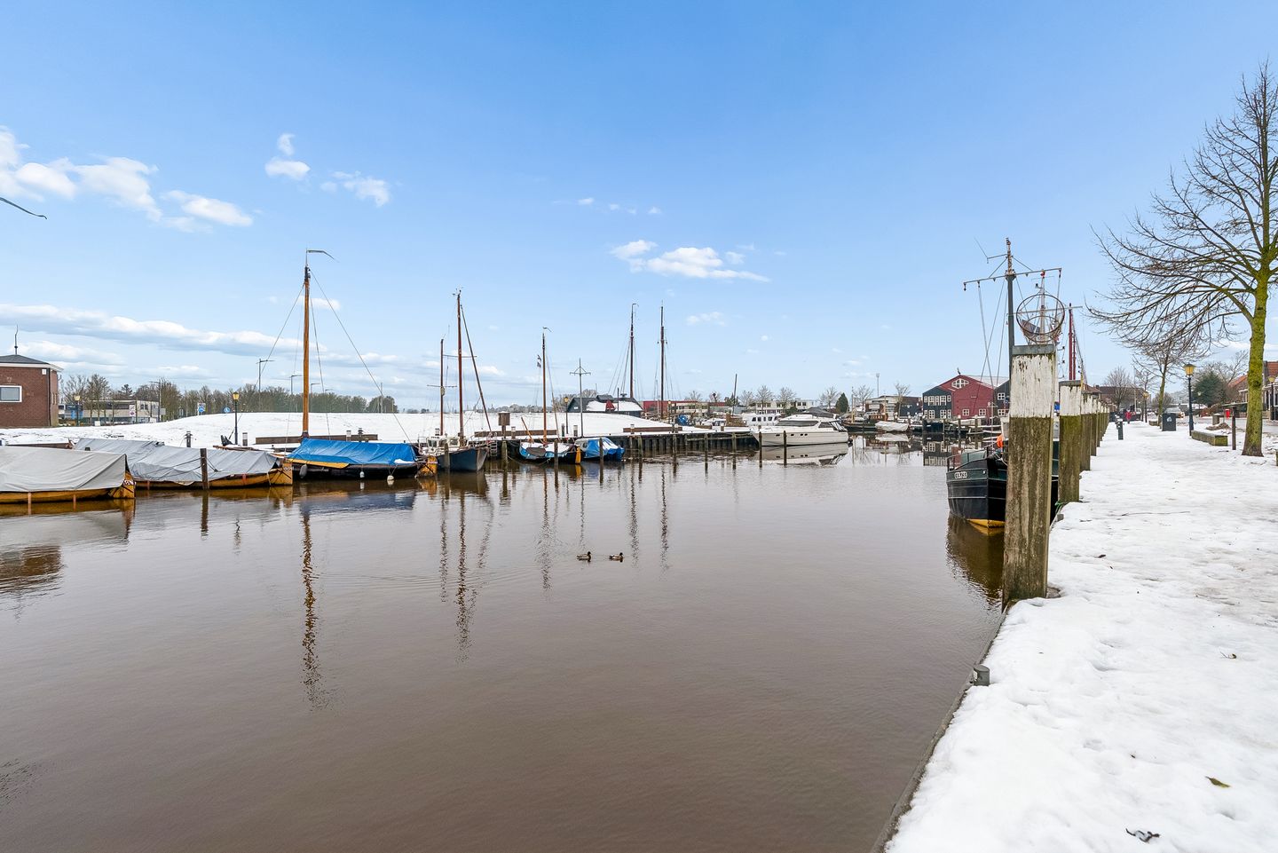 Foto 50 van Ellestraat 54