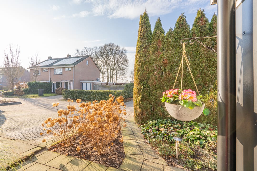 Foto 7 van Zonnedauw 9