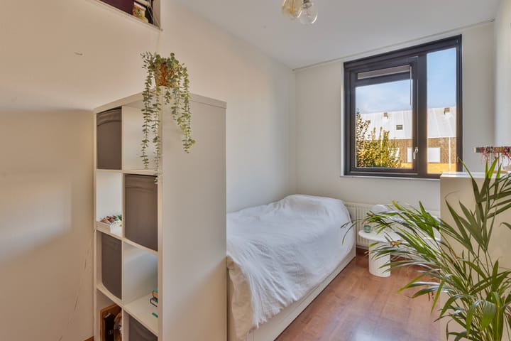 Foto 26 van Fluitenkruid 26