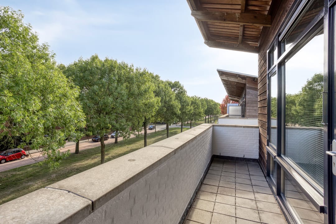 Foto 32 van Fluitenkruid 26