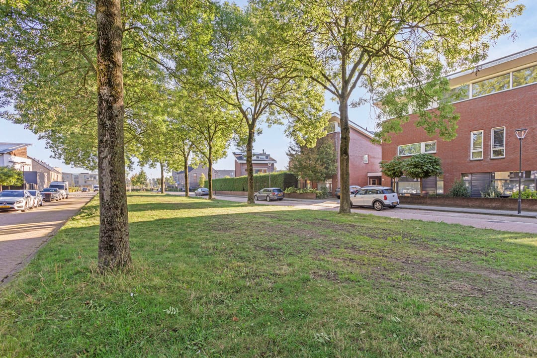 Foto 38 van Fluitenkruid 26