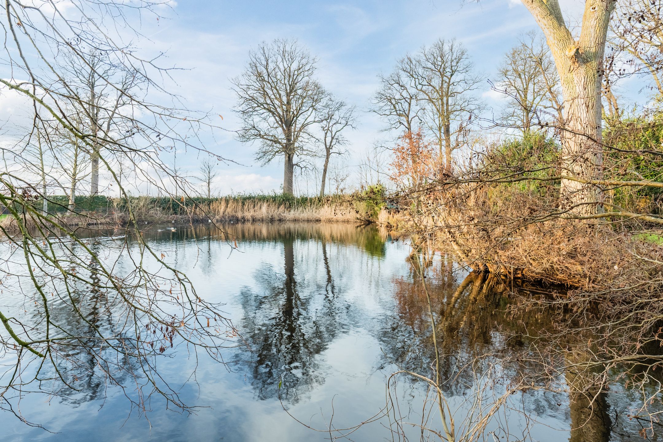 Foto 6 van Zandstraat 15