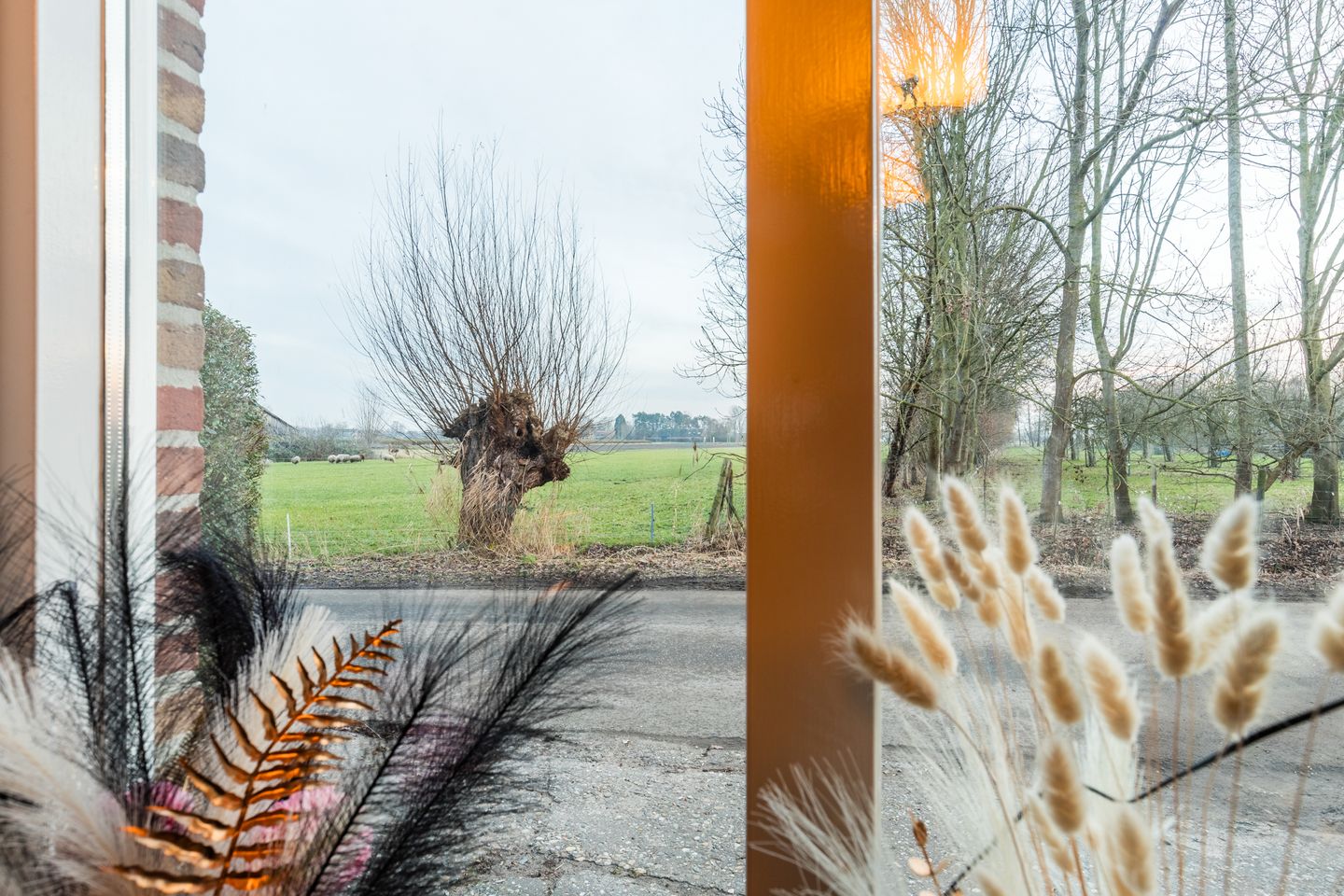 Foto 29 van Zandstraat 15